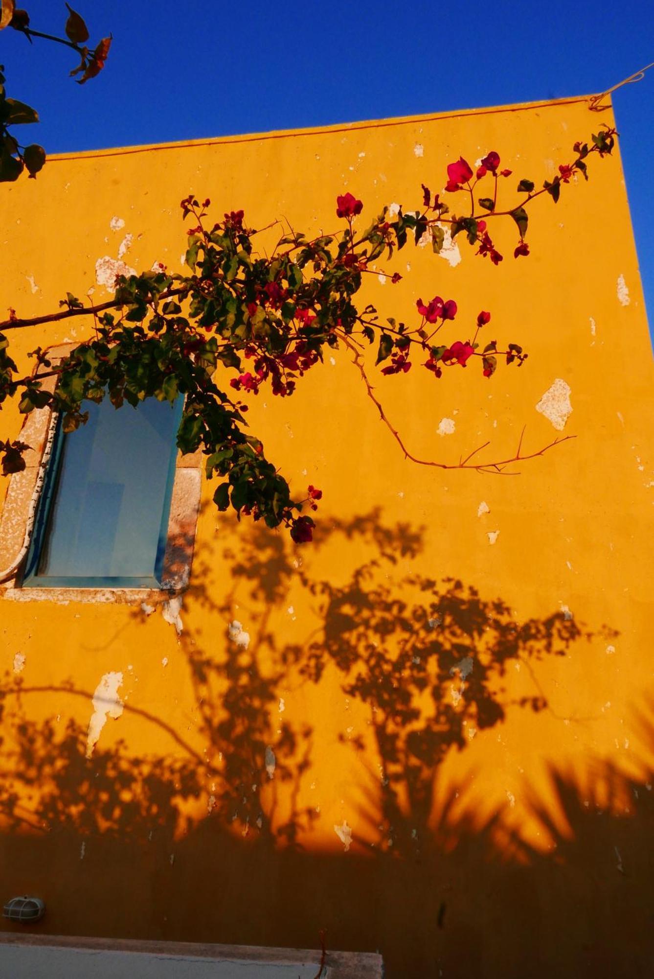 Elegeo Rockhouse Villa Agia Marina  Dış mekan fotoğraf
