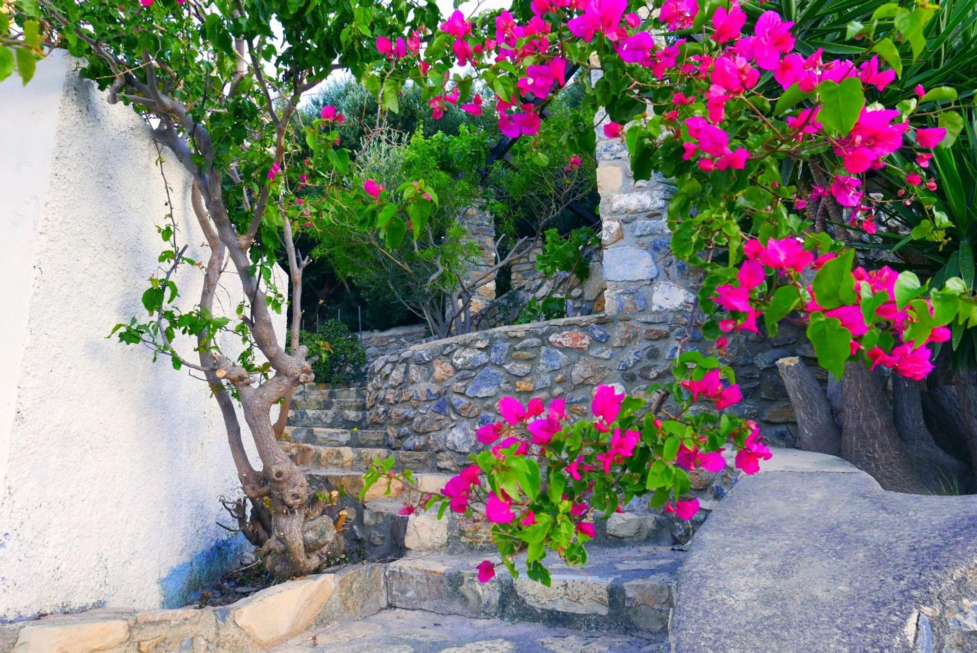 Elegeo Rockhouse Villa Agia Marina  Dış mekan fotoğraf
